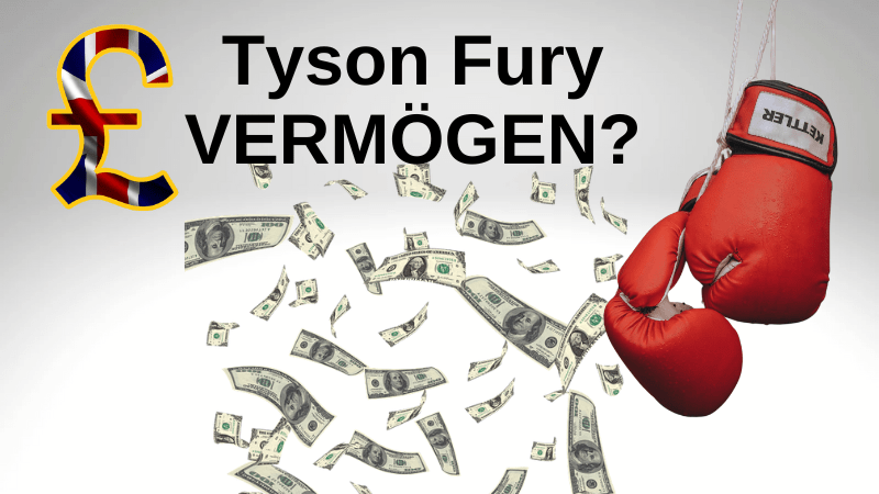 Vermögen Tyson Fury