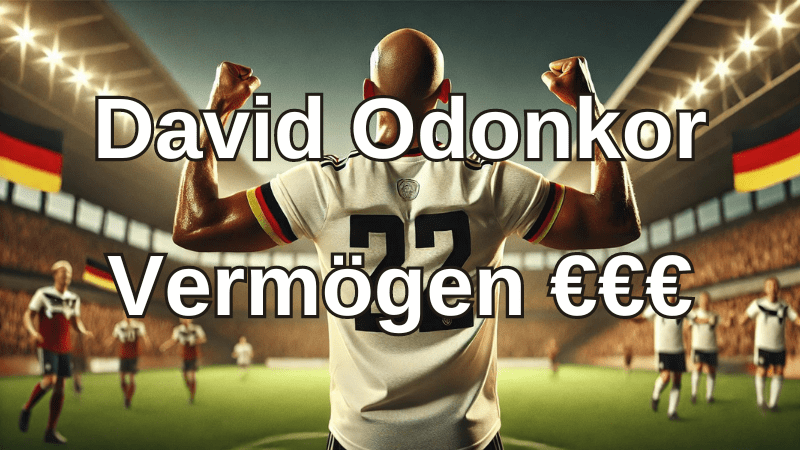 David Odonkor Vermögen