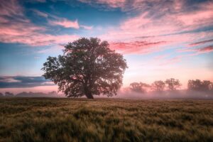 Naturverbundene Sprüche über deinen Urlaub