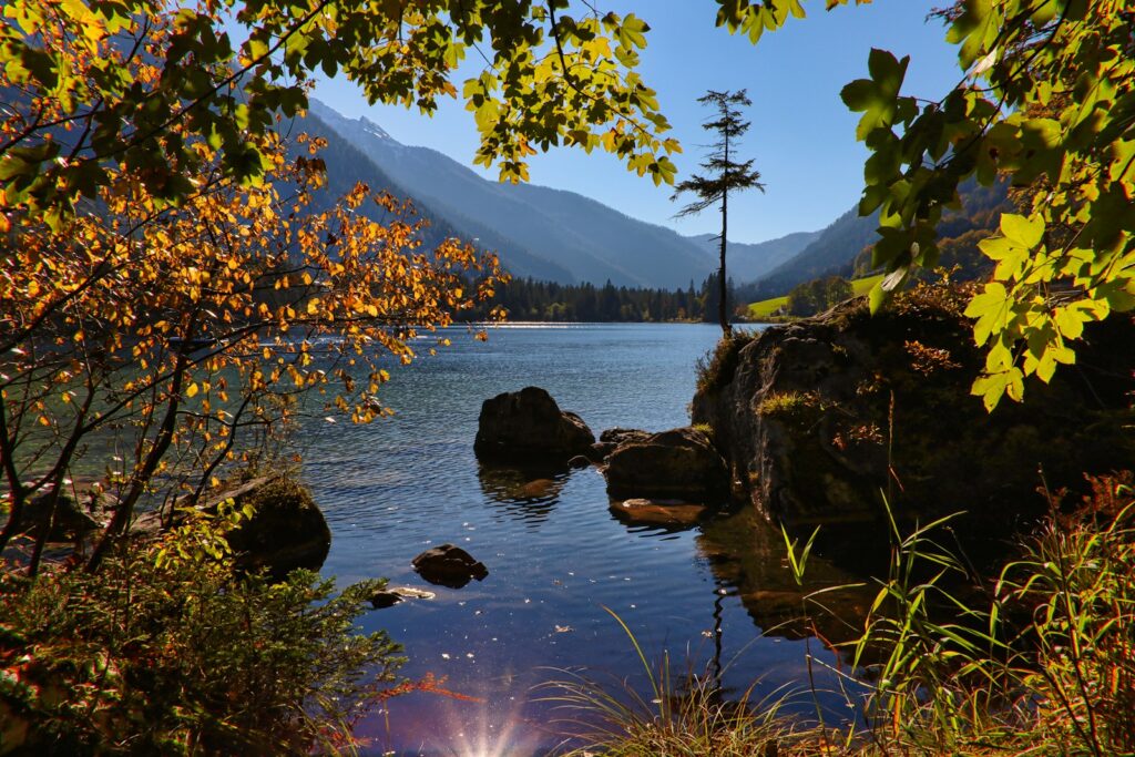 A body of water surrounded by trees and rocks