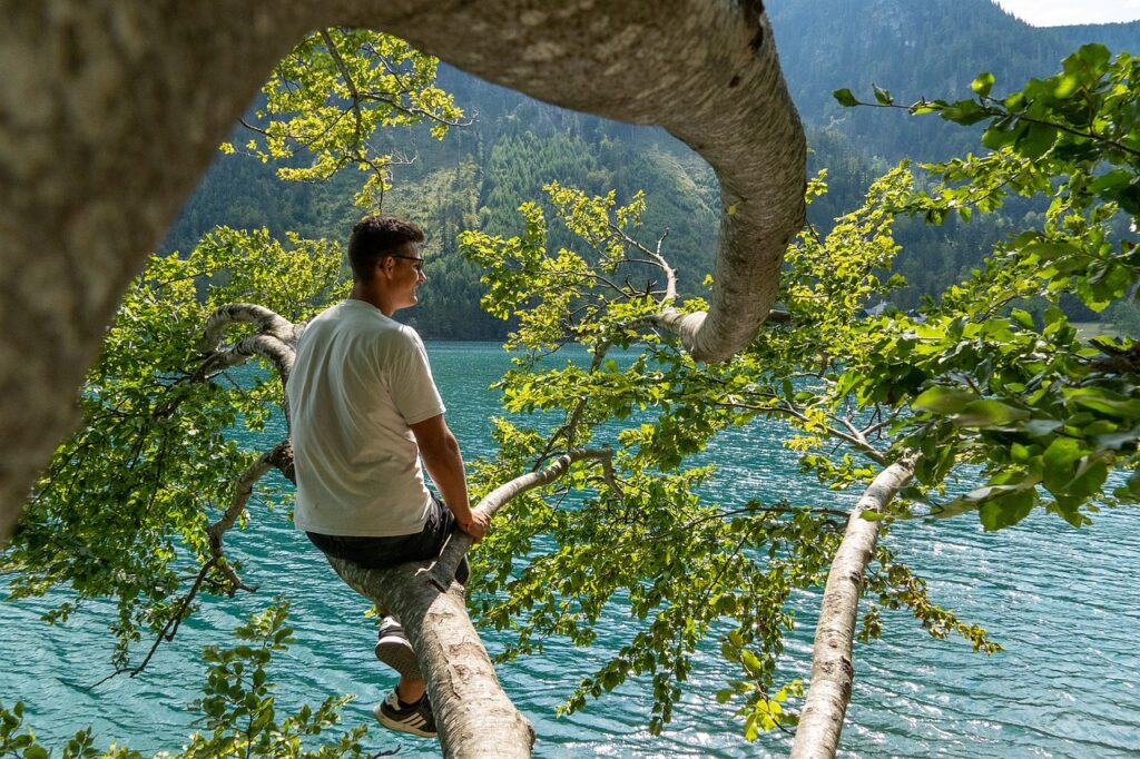 man, lake, branch, nature, sea, travel, leisure, man, man, man, man, man